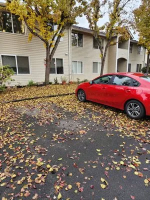 Signature Landscapes