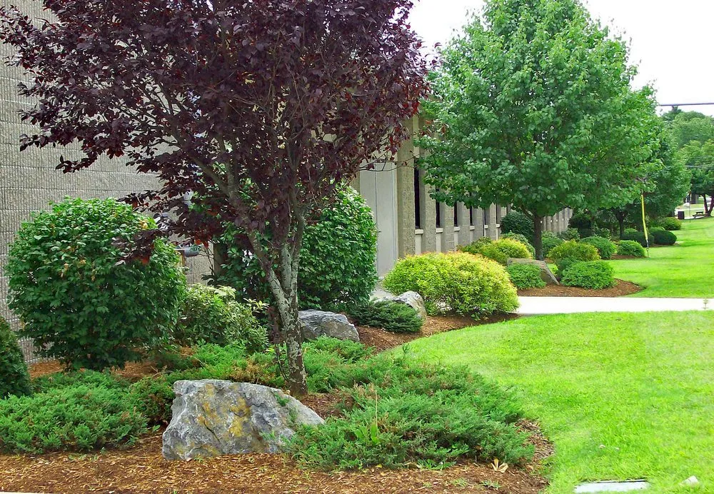 Trusted lawn care service in Hudson, NH by Signature Landscapes Designed by Dube's