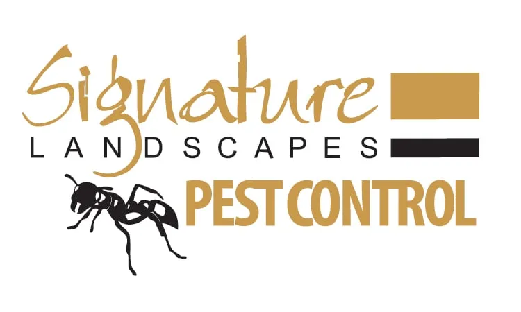 Affordable lawn care service experts serving Reno, NV - Signature Landscapes