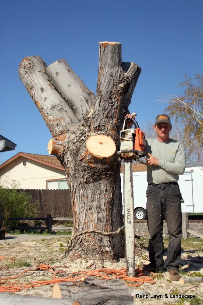 Reliable lawn mowing service with custom design in Reno, NV by Signature Landscapes