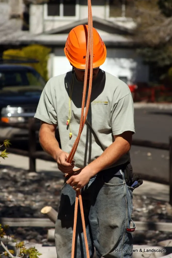 Affordable outdoor landscaping near you across Reno, NV - Signature Landscapes