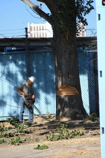 Trusted garden landscaping for beautiful yards in Reno, NV by Signature Landscapes