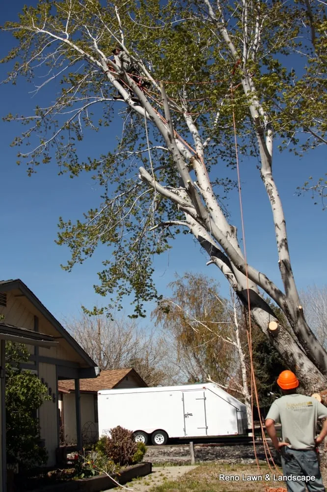 Reliable residential landscaping experts serving Reno, NV - Signature Landscapes