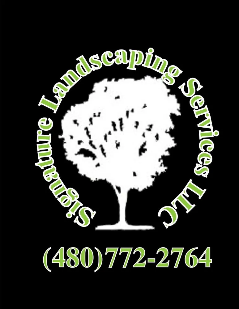 Reliable outdoor landscaping for outdoor upgrades in Mesa, AZ by Signature Landscaping Services