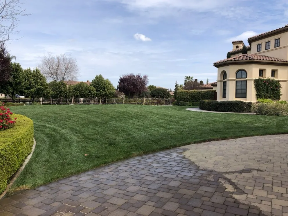 Reliable yard maintenance for residential properties across Tracy, CA - Signature Landscaping