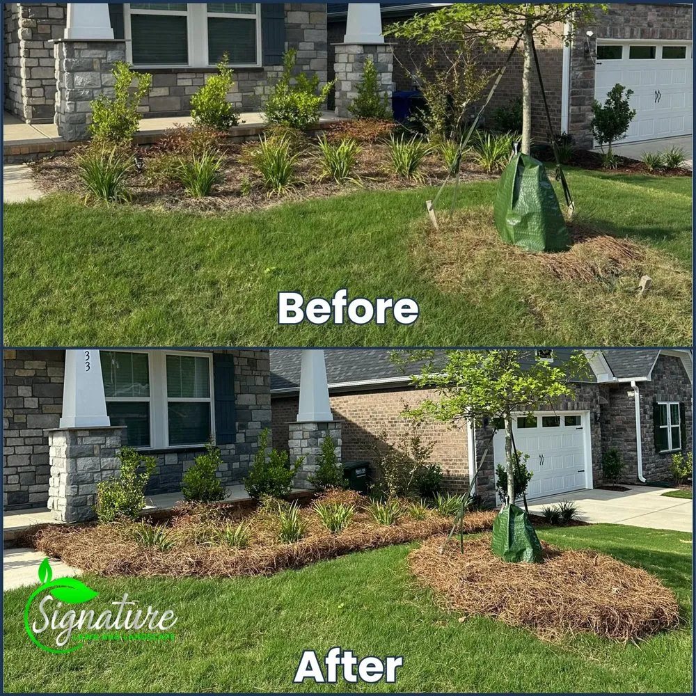 Trusted yard maintenance for year-round maintenance in Mint Hill, NC by Signature Lawn and Landscape
