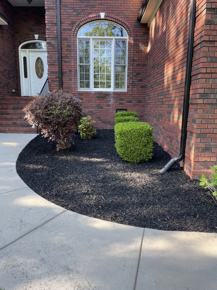 Expert yard cleanup service in Mint Hill, NC by Signature Lawn and Landscape