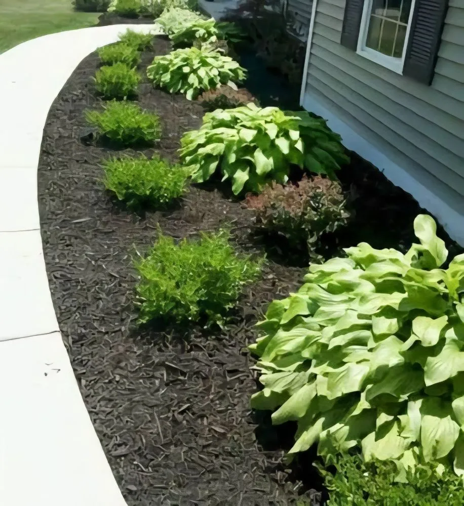 Top-rated lawn care service in Hamburg, NY by Signature Lawn Care