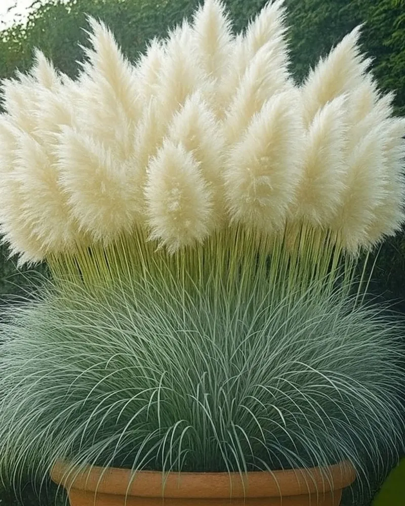 Top-rated residential landscaping experts serving Hamburg, NY - Signature Lawn Care