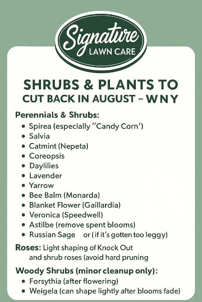 Reliable residential landscaping in Hamburg, NY - Signature Lawn Care