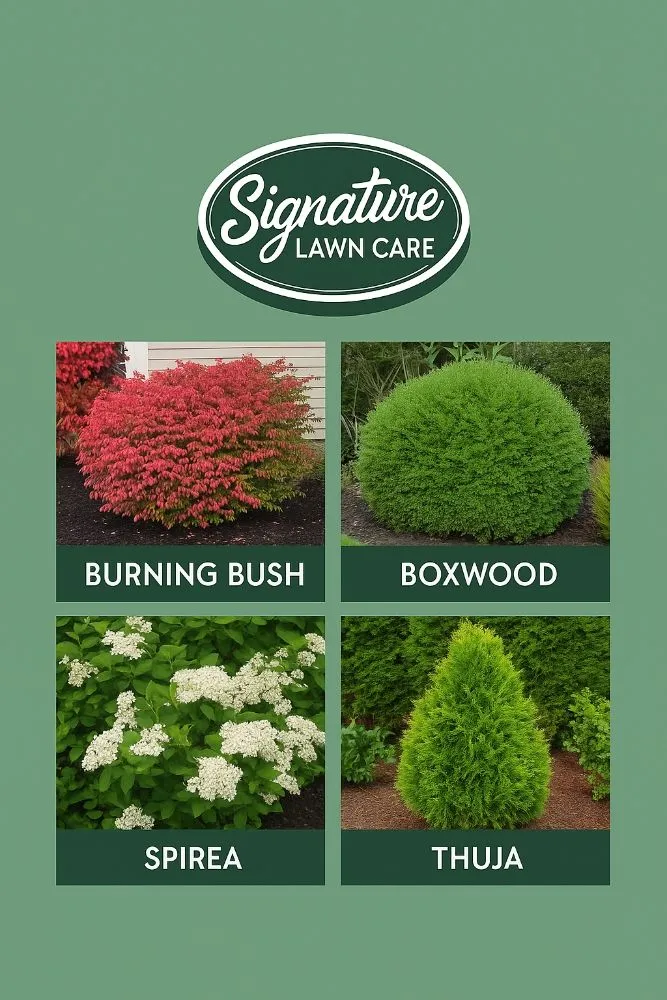 Custom garden landscaping for year-round maintenance across Hamburg, NY - Signature Lawn Care