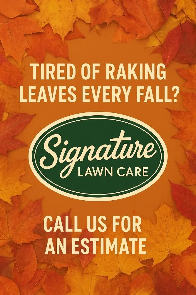 Trusted landscaping services in Hamburg, NY by Signature Lawn Care