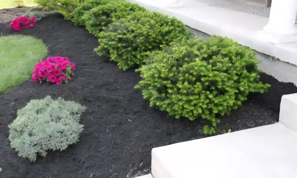 Reliable yard cleanup service in Hamburg, NY by Signature Lawn Care