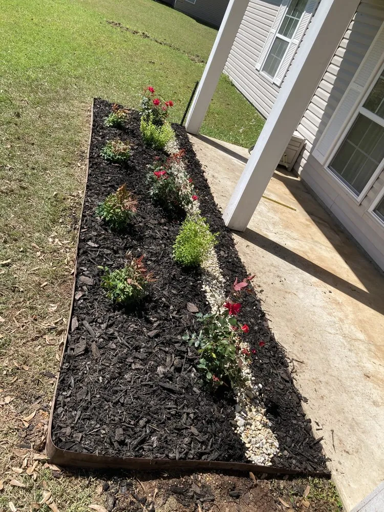 Expert residential landscaping experts serving Loranger, LA - Signature Lawn Care