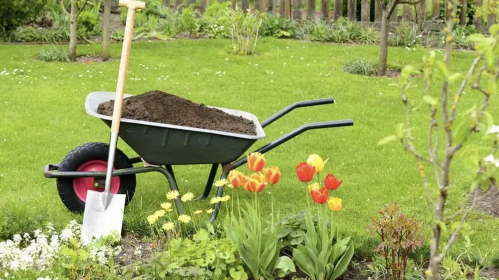 Reliable lawn care service experts serving Ocala, FL - Signature Lawn Pros