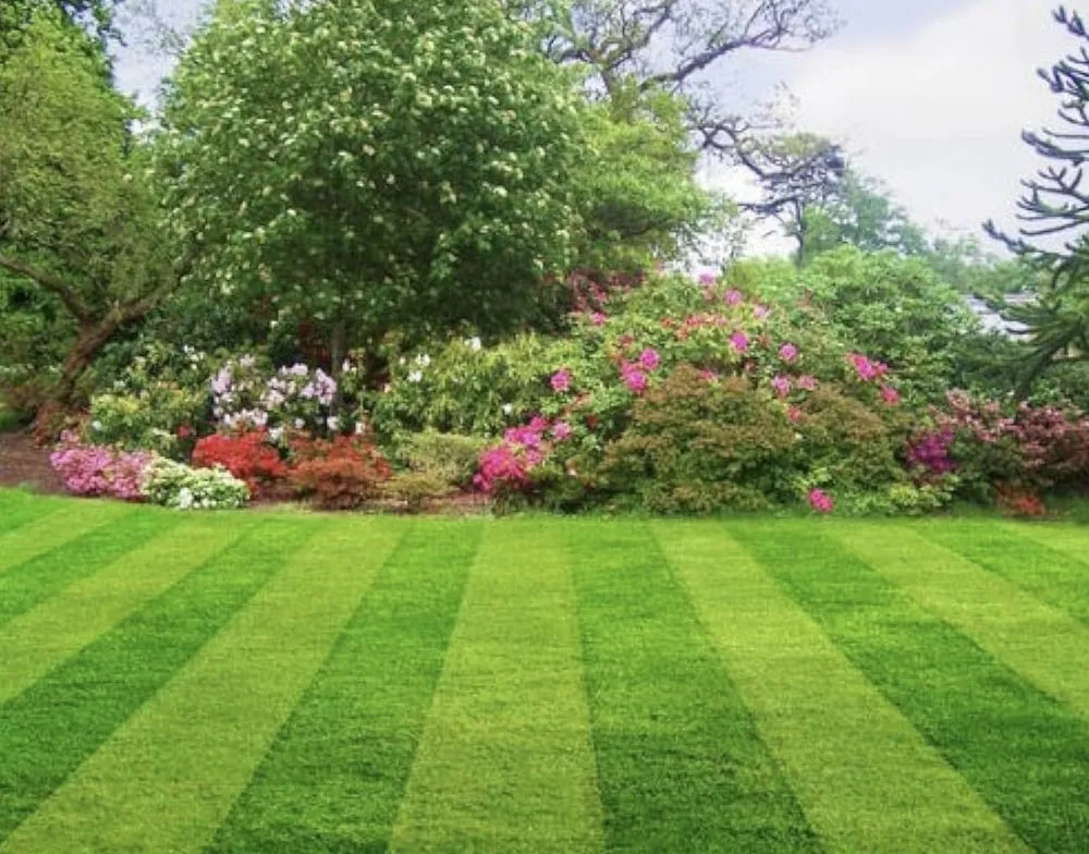 Professional lawn mowing service for beautiful yards across Ocala, FL - Signature Lawn Pros