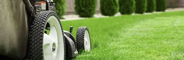 Signature Lawn Pros Logo