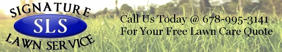 Reliable outdoor landscaping for outdoor upgrades in Hoschton, GA by Signature Lawn Service