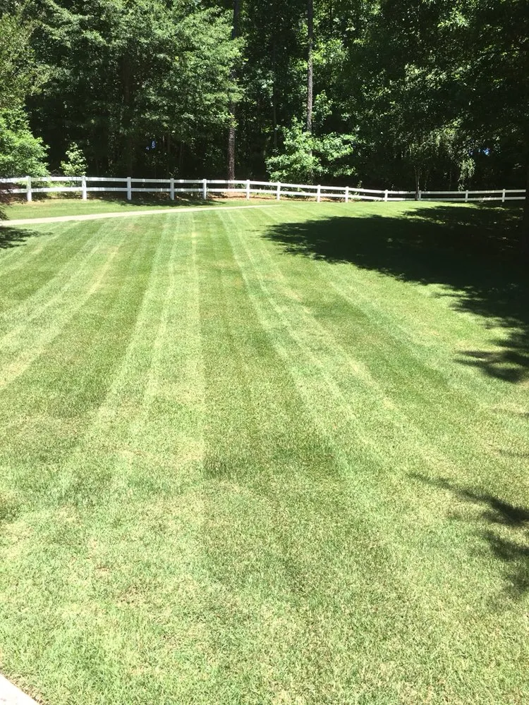 Reliable yard cleanup service for year-round maintenance across Hoschton, GA - Signature Lawn Service