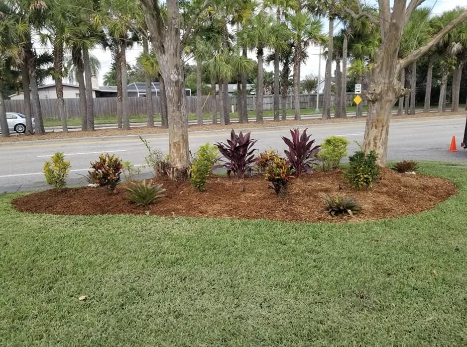 Trusted yard maintenance experts serving Sarasota, FL - Signature Lawn Service