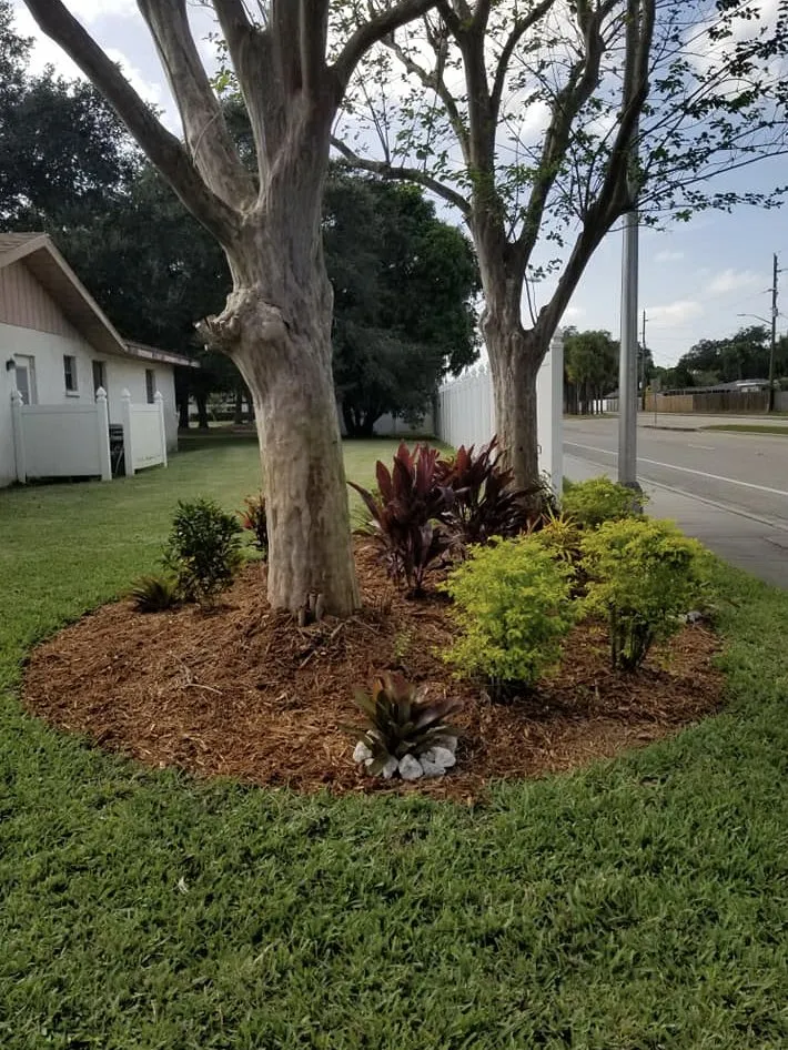 Professional lawn care service near you across Sarasota, FL - Signature Lawn Service