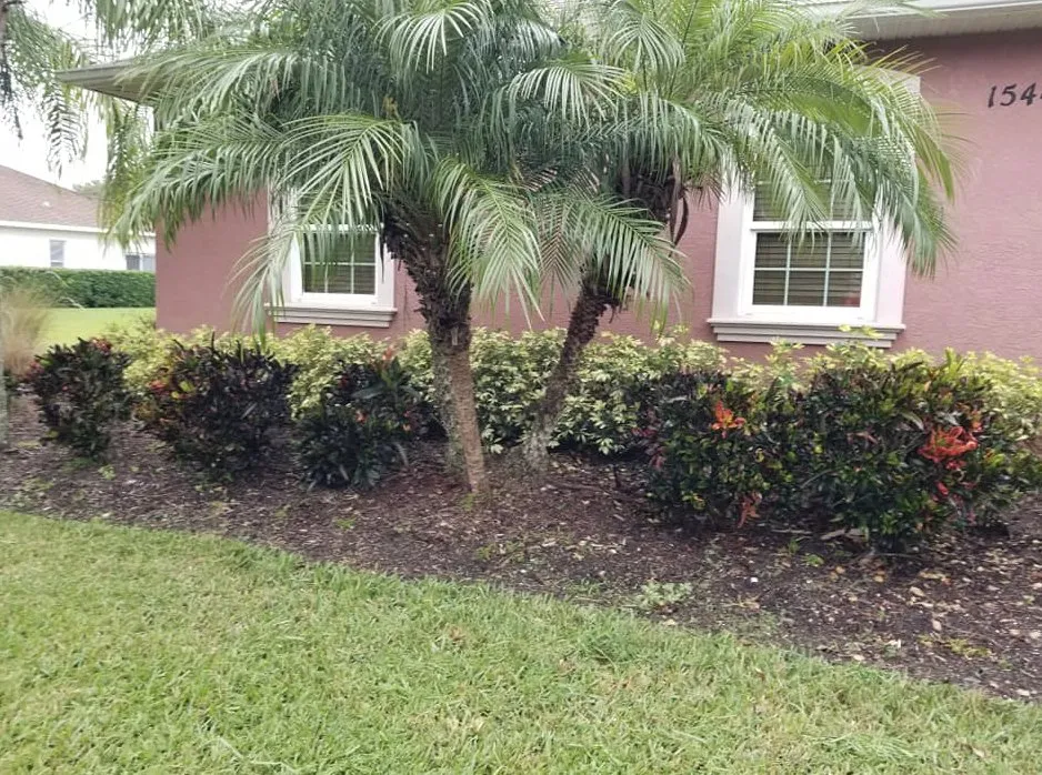 Affordable lawn mowing service near you in Sarasota, FL by Signature Lawn Service