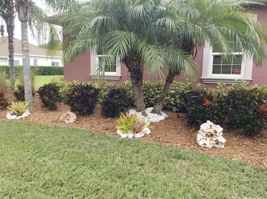 Affordable landscaping services for year-round maintenance in Sarasota, FL by Signature Lawn Service