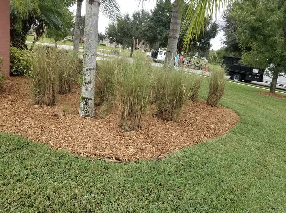 Top-rated lawn mowing service experts serving Sarasota, FL - Signature Lawn Service
