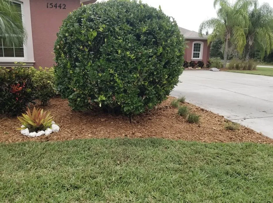 Reliable yard maintenance for year-round maintenance across Sarasota, FL - Signature Lawn Service