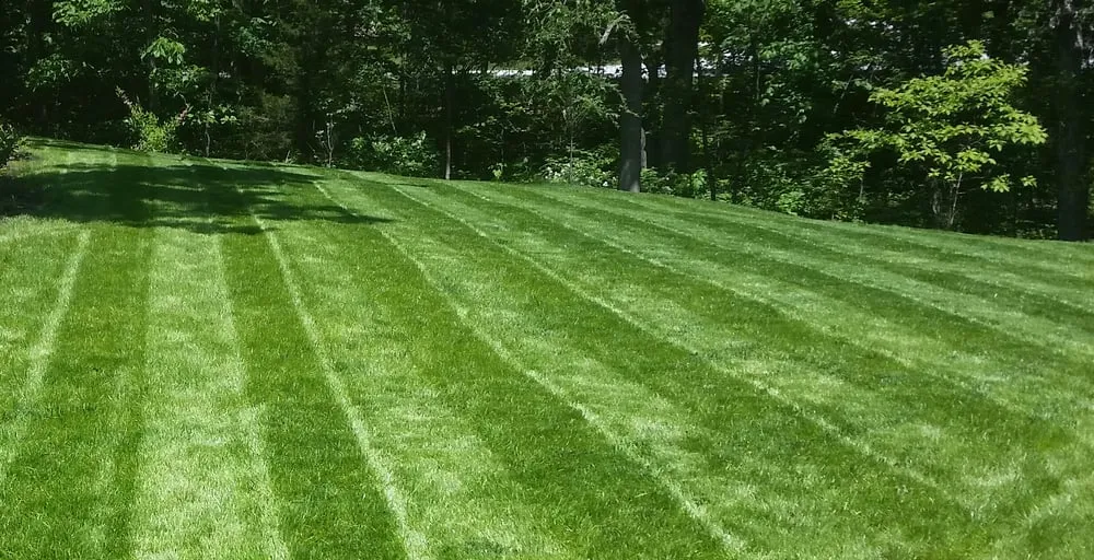 Affordable outdoor landscaping in Columbia, MO - Signature Lawn Services