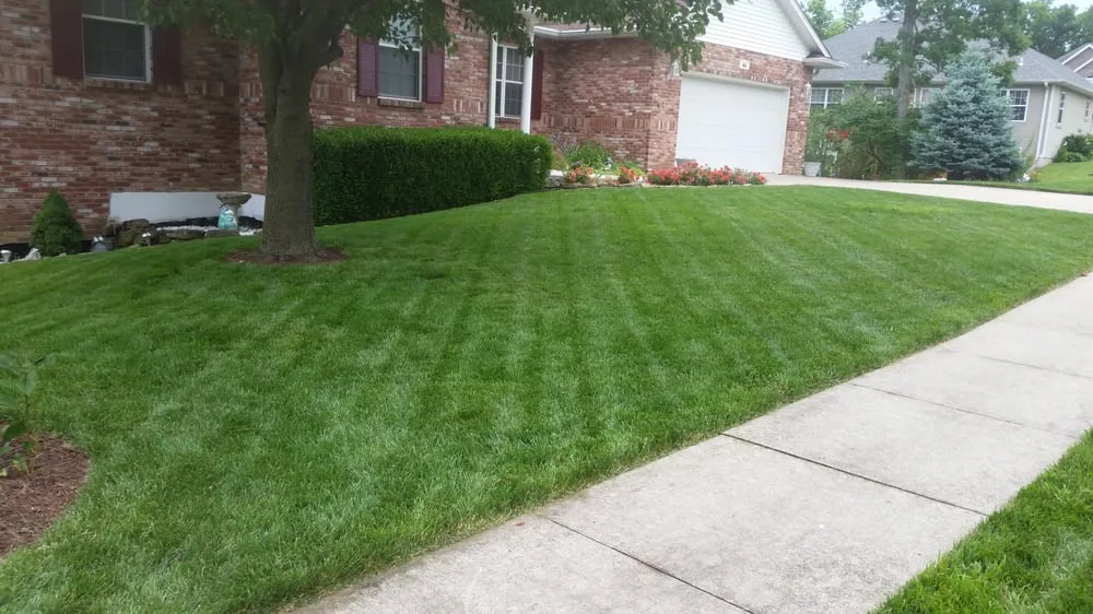 Professional yard maintenance in Columbia, MO by Signature Lawn Services
