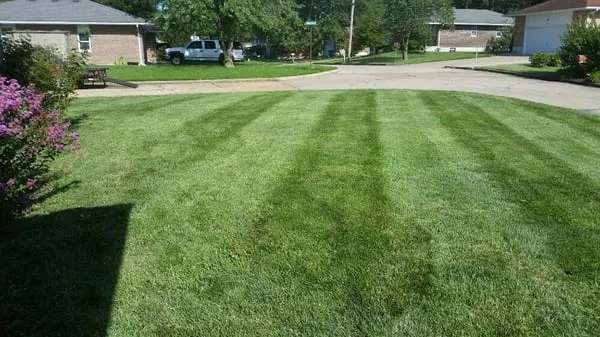 Signature Lawn Services Logo