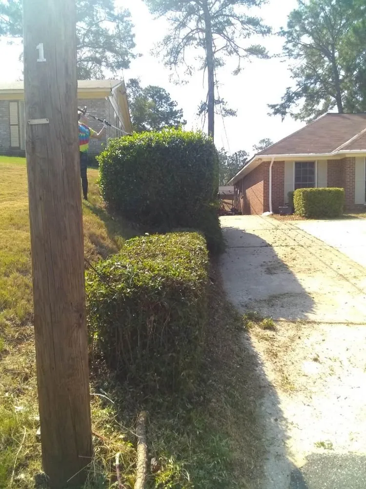 Expert garden landscaping for beautiful yards in Columbus, GA by Signature Lawn Services