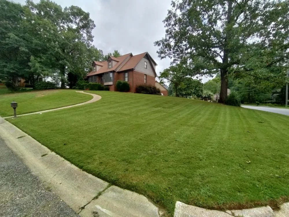 Top-rated yard cleanup service experts serving Calera, AL - Signature Lawns
