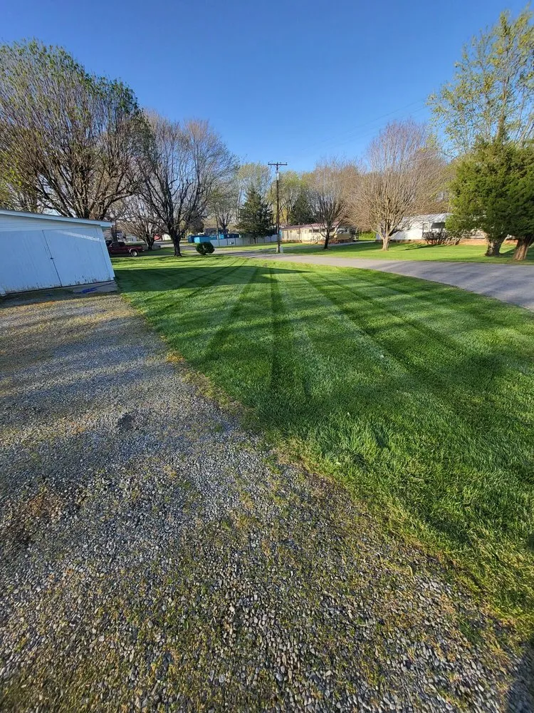 Expert yard maintenance for beautiful yards across Yadkinville, NC - Signature Lawnscapes
