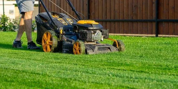 Signature Outdoor Home Services