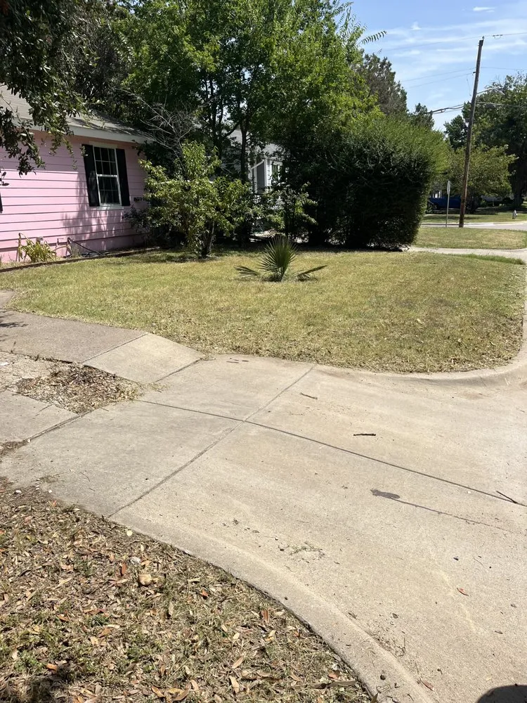 Expert landscaping services in White Settlement, TX - Signature Solutions