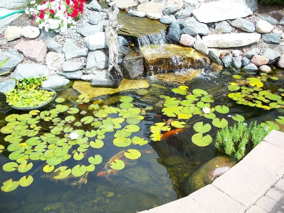 Trusted garden landscaping for year-round maintenance in South Elgin, IL by Signature