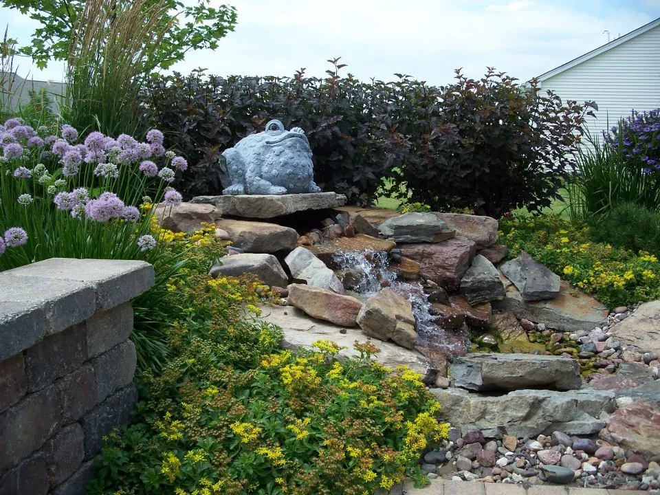 Top-rated yard maintenance in South Elgin, IL - Signature