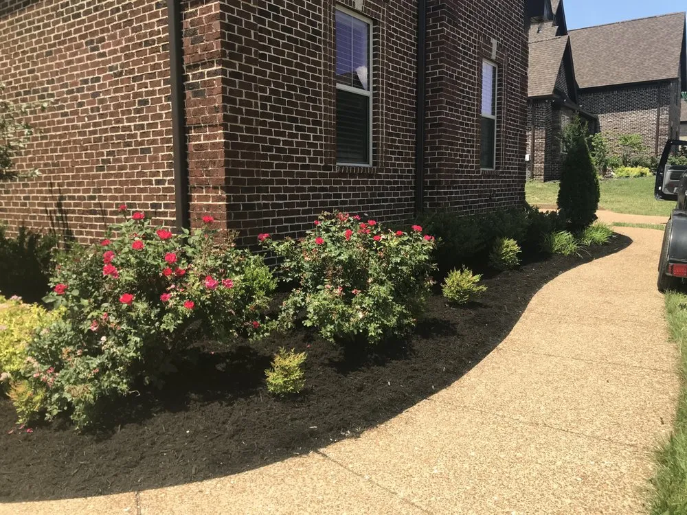 Local landscape design for outdoor upgrades in Mount Juliet, TN by Signature Stripe Lawn and Landscaping