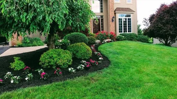 Reliable lawn mowing service in Mount Juliet, TN - Signature Stripe Lawn and Landscaping