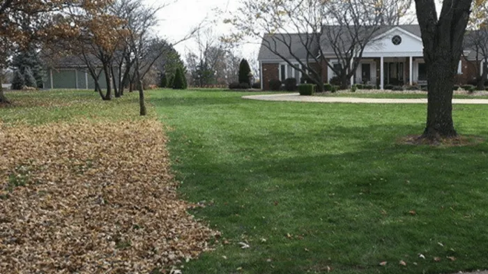 Custom landscape installation for homes across Mount Juliet, TN - Signature Stripe Lawn and Landscaping