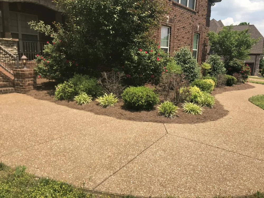 Local yard maintenance in Mount Juliet, TN by Signature Stripe Lawn and Landscaping