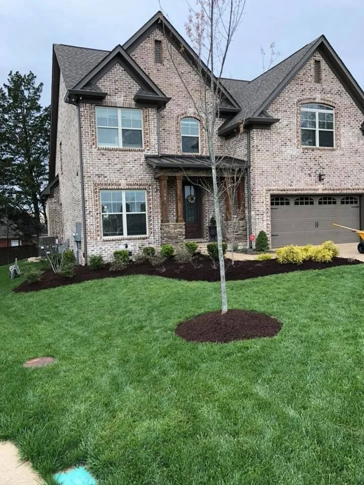 Custom yard cleanup service in Mount Juliet, TN by Signature Stripe Lawn and Landscaping