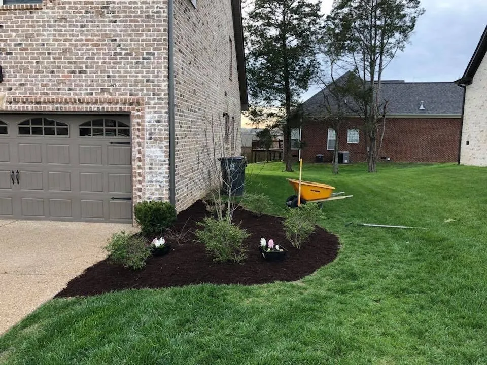 Reliable yard maintenance in Mount Juliet, TN - Signature Stripe Lawn and Landscaping