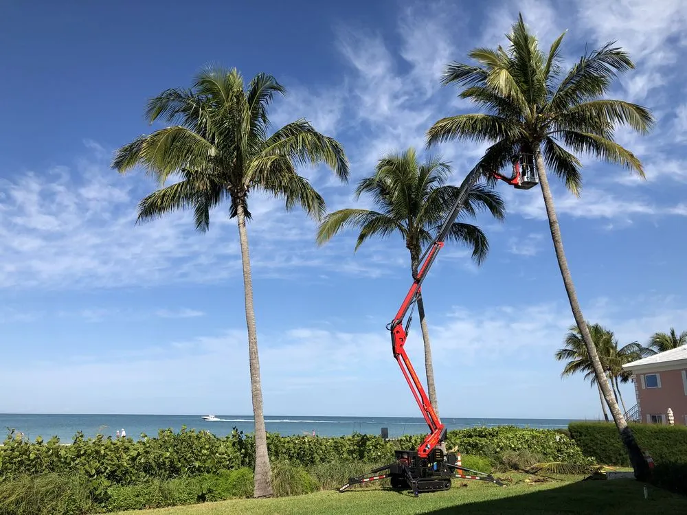Top-rated residential landscaping in Naples, FL by Signature Tree Care