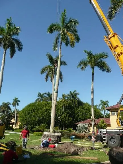Trusted landscaping services in Naples, FL - Signature Tree Care