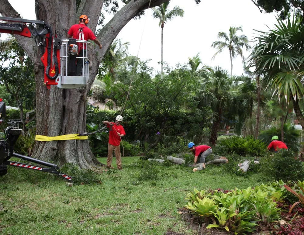 Professional garden landscaping experts serving Naples, FL - Signature Tree Care