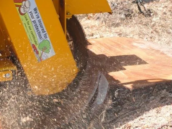 Custom yard maintenance with custom design across Naples, FL - Signature Tree Care