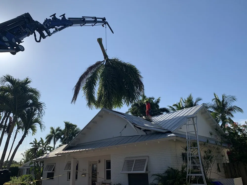 Custom landscaping services experts serving Naples, FL - Signature Tree Care